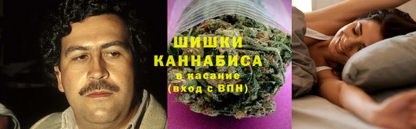 а пвп мука Алзамай