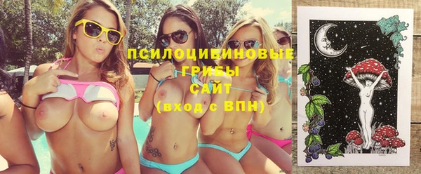 молекула духа Алексин