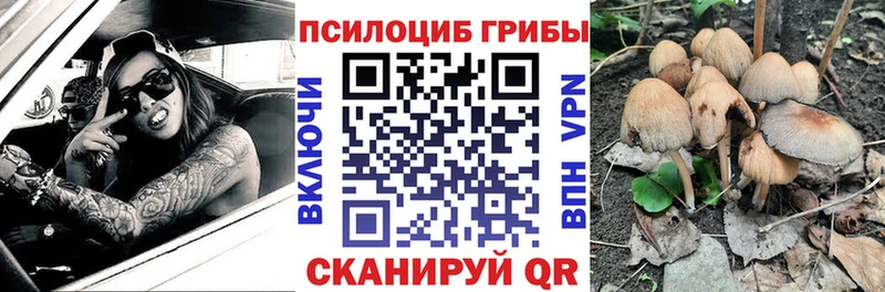 цены   Железногорск  Галлюциногенные грибы MAGIC MUSHROOMS 